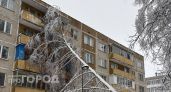 Из-за ледяного дождя в Чебоксарах массово валятся деревья: рвут провода, давят машины и падают на дома