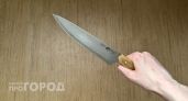 Жительница Чувашии вонзила нож в мужа больше чем на 10 сантиметров и убила его