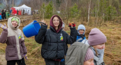 Волонтеры из Чувашии посадили более восьми тысяч сосен за день