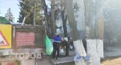 Жителям Чувашии спрогнозировали среднюю зарплату в 234 тысячи рублей через 16 лет