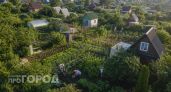 Иностранец впервые попал на обычную дачу: что в наших привычных шести сотках кажется ему полным абсурдом