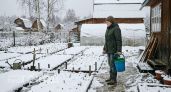 Дачный сезон под угрозой срыва: полярный циклон обрушится на регионы и уничтожит все ваши посадки в мае