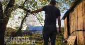 Всего один пакет с водой в теплице заменяет дорогую химию: урожай стал вдвое больше и перестал болеть