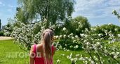 Завтра Чувашию ждет 27-градусная жара