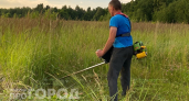 Выбрасываете деньги на леску? Есть способ косить траву почти бесплатно