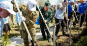 Чувашия посадила 560 тысяч деревьев в память о героях войны