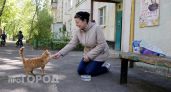 Я не сдержала смех при просмотре этих фото: 15 домашних любимцев, которые устроили полный хаос в доме