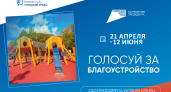 Чебоксары выделят 4 млн рублей на отлов безнадзорных животных
