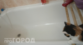 Хватит тереть: этот порошок убирает налет с ванной за пару движений