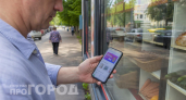 Один раз оплатил и будешь платить каждый раз: скрытая функция Ozon на вашем телефоне