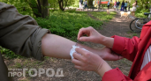 Масло и огонь – худшее решение: что нельзя делать при укусе клеща
