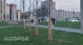 В Чувашию возвращается тепло: завтра до +26 градусов