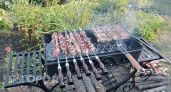 Оставьте свинину для других: диетологи нашли копеечное мясо для шашлыка, которое очищает сосуды от бляшек