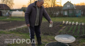 Запах из выгребной ямы исчезает за 3 дня: работает обычный кухонный продукт   – сыплю горсть