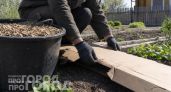 Забыла про тяпку и вечную борьбу с травой: использую обычный картон для создания идеальных дорожек в огороде