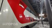 Никаких шумных попутчиков: РЖД запустили одноместные купе с завтраком по цене, доступнее привычного СВ