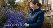 Синий водопад цветов до самых морозов: посадила многолетник, который закрыл "лысые" места на участке