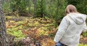 МЧС Чувашии выпустило предупреждение до 25 мая