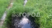 В Чебоксарском районе вода в ручье уже несколько дней маслянисто-черного цвета: загрязненная вода попадает в окрестные водоемы