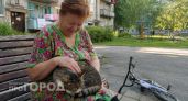 Почему владельцам кошек старше 65 лет грозит серьезная опасность для здоровья: мнение экспертов отрасли