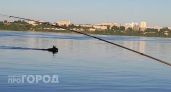 К рыбаку во время утренней рыбалки со стороны Новочебоксарска приплыл лось: "И клюет, и сохатый в гости наведался" 