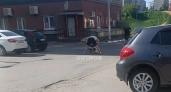 Полиция начала проверку по инциденту в Солнечном, где группа людей избила двоих прохожих