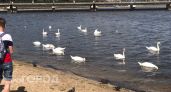 Завтра в Чувашии все еще жарко, но столбики термометра начинают опускаться ниже +30