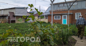 Дачники массово отказываются от тяпки: этот метод обработки земли между грядками навсегда убил сорняки
