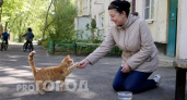 Милота оказалась мифом: что скрывается за привычкой кошки облизывать вас