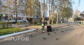 В Чувашии 96 студенток получили деньги от государства за беременность
