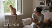 Названа истинная причина: почему коты часами смотрят в одну точку на стене