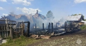 Пожар в Порецком районе унес жизни 14 свиней и сжег дом дотла