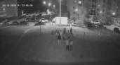 Чебоксарский блогер хотел стать миротворцем между Путиным и Зеленским, а теперь дебоширит в Садовом по ночам 