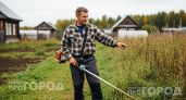 Выкиньте леску из триммера прямо сейчас: этот копеечный лайфхак избавит вас от лишних трат на покос травы