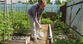 Забыла про прополку на всё лето после одной манипуляции: применяю метод австралийских фермеров на грядках