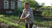 Один старый носок на палке избавит от комаров на весь сезон: копеечная хитрость для комфортного отдыха