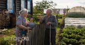 Жизнь в деревне после 60 лет: 10 привычек, которые незаметно лишают вас накоплений и подрывают здоровье