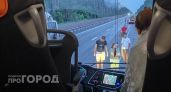 "На ходу отвалилось колесо": рейсовый автобус "Чебоксары – Москва" чуть не разбился на трассе под Владимиром