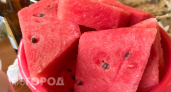 Ранние арбузы в июне: эксперты рассказали, можно покупать или нет 