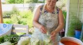 Кабачки уходят влет: сочная и хрустящая закуска уже на следующий день без лишних хлопот 