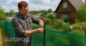Красивое и практичное ограждение на даче сделали за сутки, на все потратили минимальную сумму: соседи обзавидовались