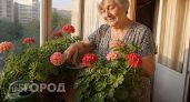 Герань переживет самую суровую зиму: какую ошибку совершает каждый второй – как ее исправить