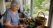 Храню картофель и свеклу дома до самой весны: свежие и здоровые без погреба