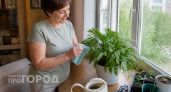Заставлю цвести даже самый капризный декабрист: проверенные способы – проверенные способы