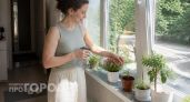 Потратила 200 рублей, а пользы на миллион: купила коврик из FixPrice для обуви, а оказалось, у него есть много других способов применения