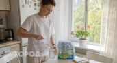 Забыли про кофе: кардиолог назвала доступный продукт для экстренного повышения давления за считаные минуты