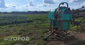 Сельчанина из Шемуршинского района обвиняют в тяжелом вреде природе