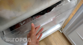Перестала стоять у плиты через день: правильно наполнила морозилку продуктами – освободила себе кучу времени
