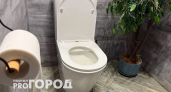 Сыплю 5 ложек в унитаз: утром сверкает как новый – секрет горничных