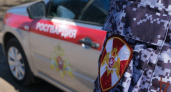 Хотел получить товары бесплатно, но получит судимость: в Козловке воришка не ушел от росгвардейцев